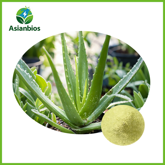 Aloe Freeze Dried Powder